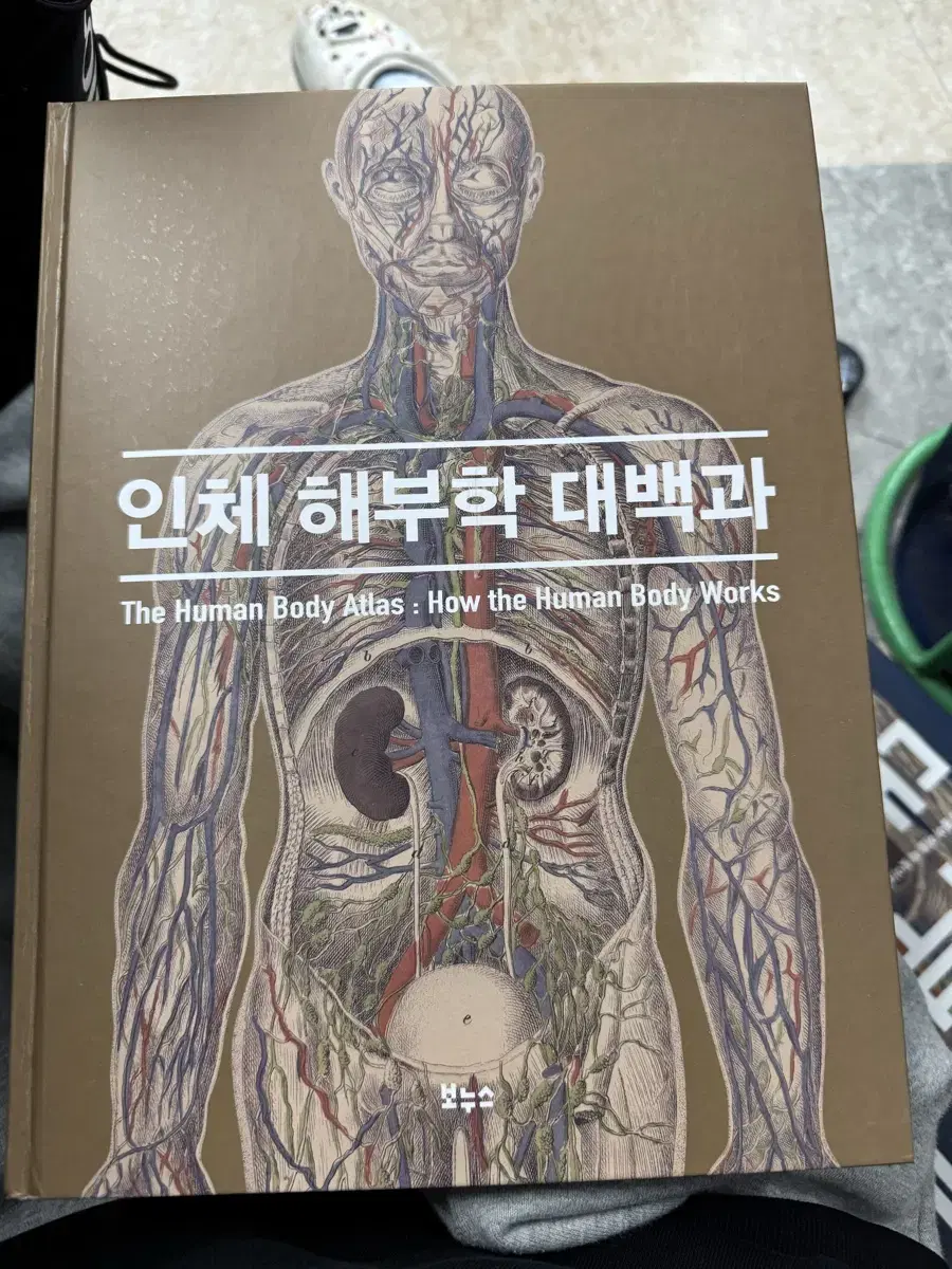 인체 해부학 대백과